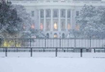 wintersturm-in-den-usa-verursacht-strom-und-flugausflle