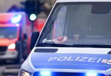 18-jhriger-raser-in-berlin-versteckt-sich-nach-verfolgungsfahrt-im-gebsch