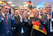 afd-steigert-ergebnis-in-brandenburg-fast-verdoppelt