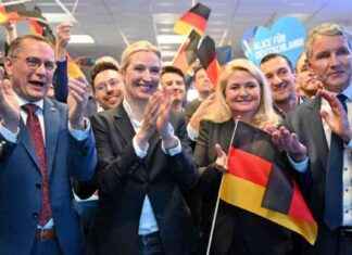 AfD steigert Ergebnis in Brandenburg fast verdoppelt. afd-steigert-ergebnis-in-brandenburg-fast-verdoppelt