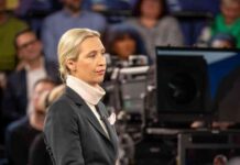 alice-weidel-wird-von-georgierin-konfrontiert-zdf-nterview-sorgt-fr-aufregung