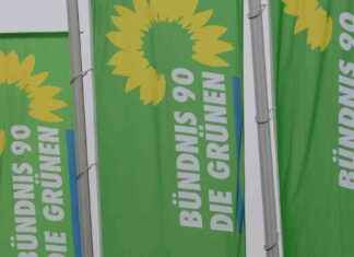 Grüne und Linke verzeichnen Anstieg der Mitgliederzahlen grne-und-linke-verzeichnen-anstieg-der-mitgliederzahlen