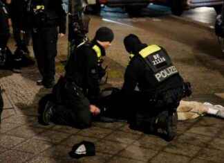 Tourist aus Spanien im Holocaust-Mahnmal in Berlin niedergestochen – Verdächtiger gefasst tourist-aus-spanien-im-holocaust-mahnmal-in-berlin-niedergestochen-verdchtiger-gefasst