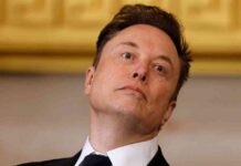 us-demokraten-hoffen-auf-whistleblower-zur-zgelung-von-elon-musk-gesetzesverste-online-melden