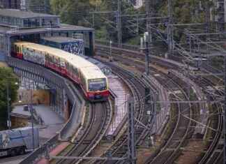 Verhaftung eines 28-jährigen Heroin-Händlers in Mitte: Drogenhandel im Blickpunkt der Zivilpolizei verhaftung-eines-28-jhrigen-heroin-hndlers-in-mitte-drogenhandel-im-blickpunkt-der-zivilpolizei