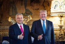 donald-trump-vorbild-ungarn-hnlichkeiten-mit-viktor-orbn-erkennen