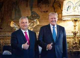 Donald Trump: Vorbild Ungarn? Ähnlichkeiten mit Viktor Orbán erkennen donald-trump-vorbild-ungarn-hnlichkeiten-mit-viktor-orbn-erkennen