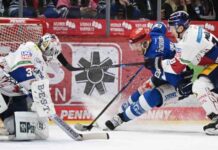 eisbren-gewinnen-selbstvertrauen-in-schwenningen-vor-playoffs