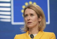 europa-muss-fhrungsrolle-in-ukraine-krise-bernehmen