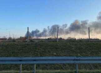 Feuer in Supermarkt Blankenfelde-Mahlow: Ursachen und Schäden feuer-in-supermarkt-blankenfelde-mahlow-ursachen-und-schden