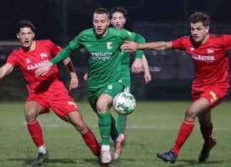 Hertha Zehlendorf unterliegt Chemie Leipzig in entscheidendem Spiel hertha-zehlendorf-unterliegt-chemie-leipzig-in-entscheidendem-spiel