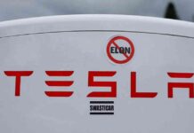 risiken-fr-tesla-aktienverluste-proteste-und-mageprobleme