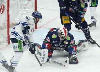 Tiefenentspannt: Eisbären-Torwart Jonas Stettmer vor wichtigen Spielen tiefenentspannt-eisbren-torwart-jonas-stettmer-vor-wichtigen-spielen