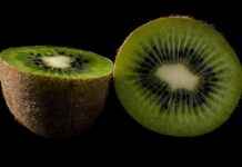 60 Seconds To Napoli Berlin – Das Kultige Pizza-Erlebnis Im Test 60 Seconds To Napoli Berlin – Das Kultige Pizza-Erlebnis Im Test