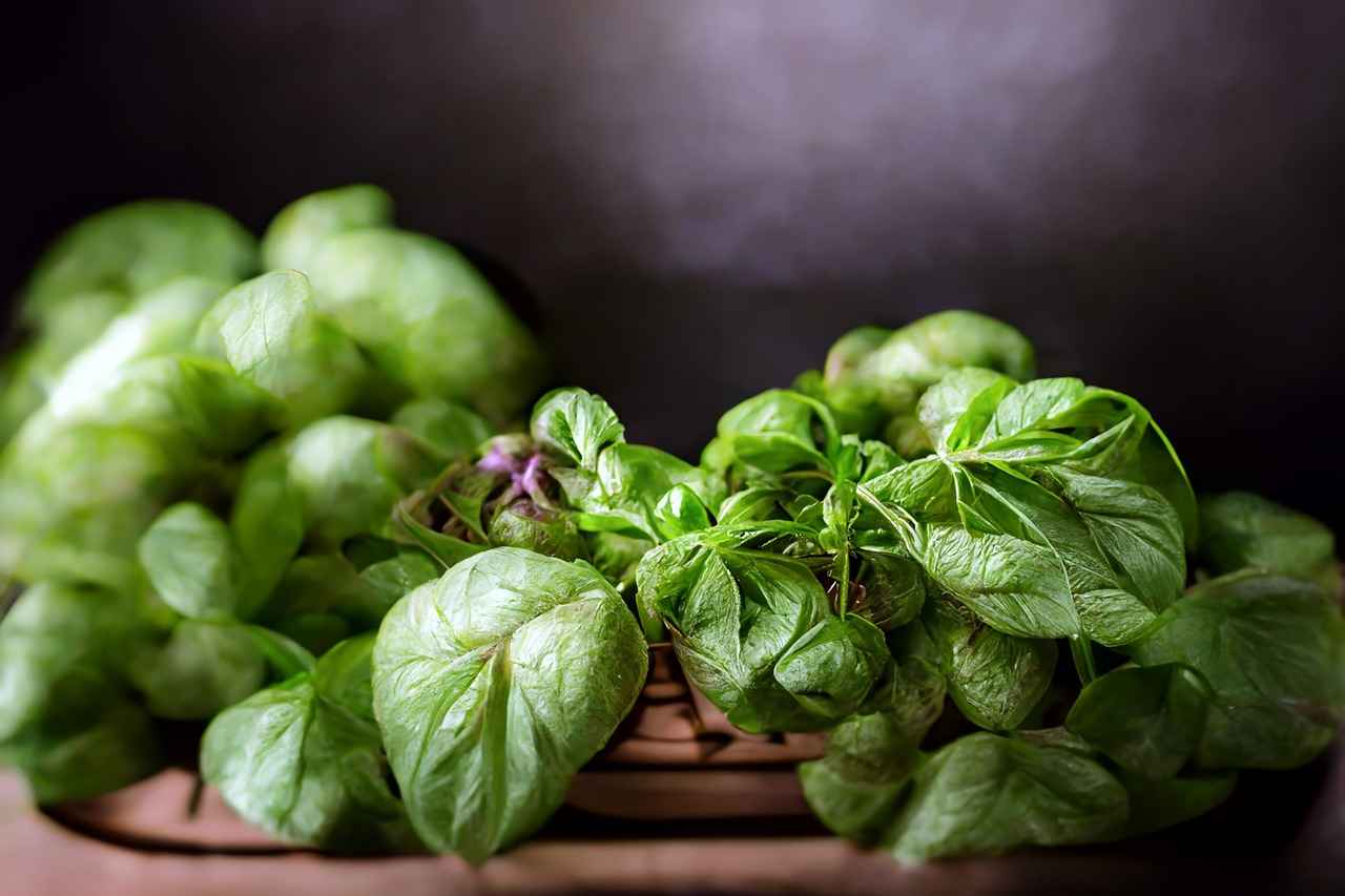 Besondere Veranstaltungen und Angebote