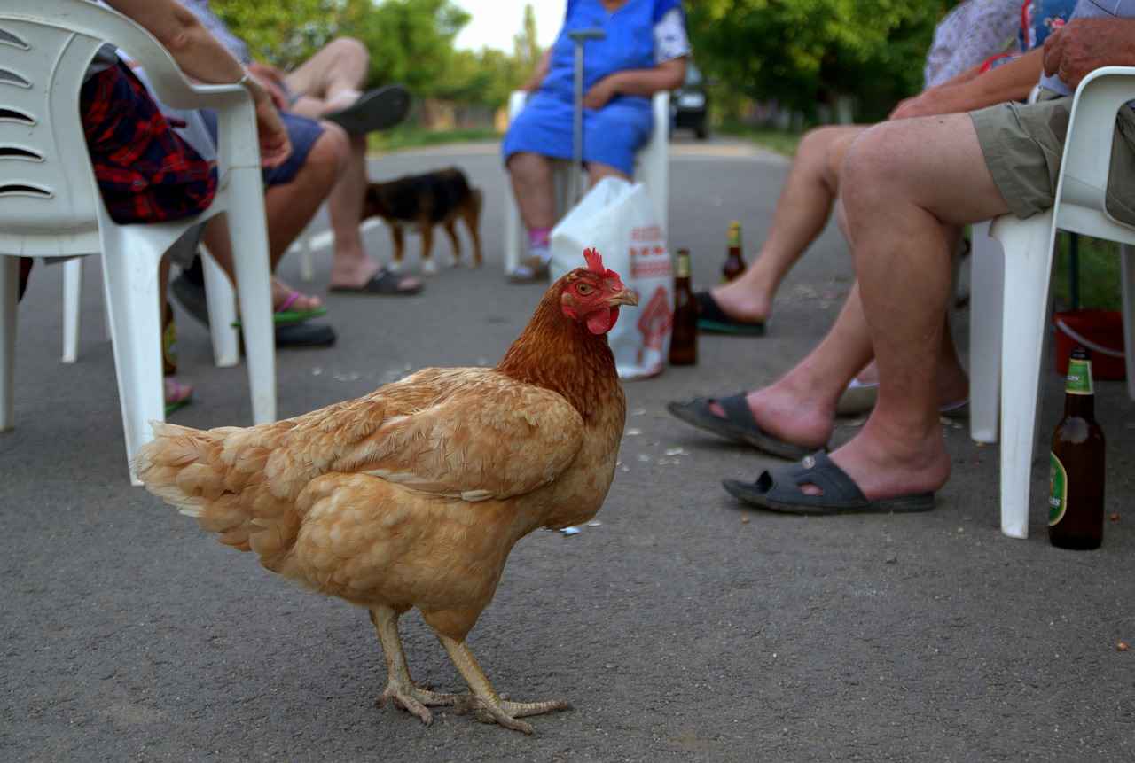 Wie hat sich OnlyFans während der Pandemie entwickelt?