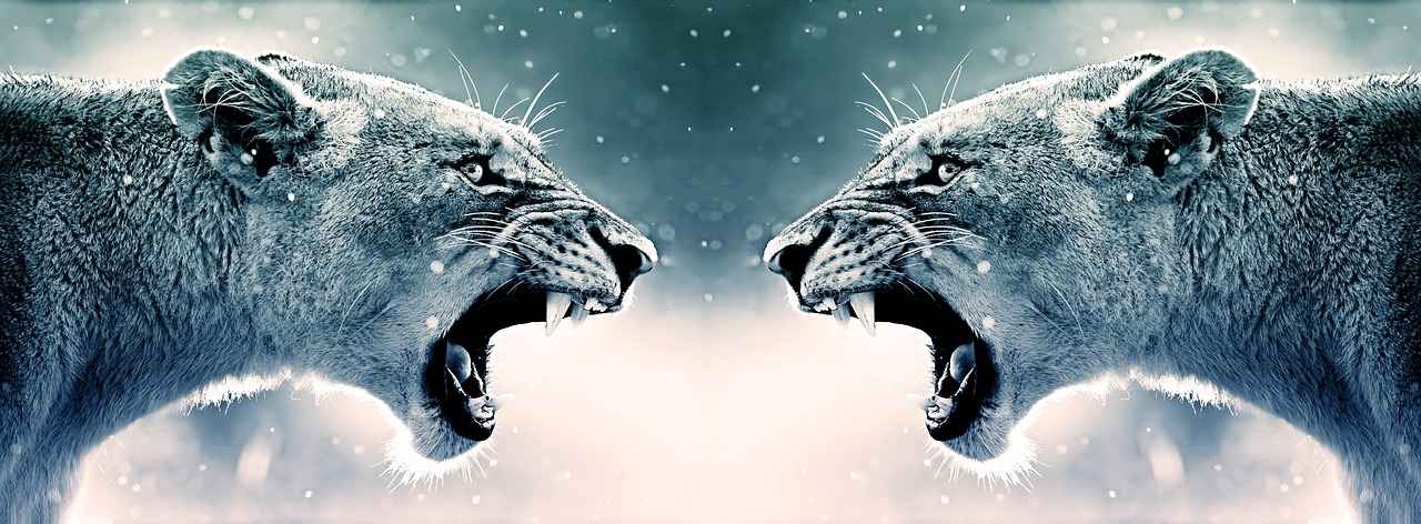 Wie sieht Abella Dangers Karriere außerhalb von OnlyFans aus?