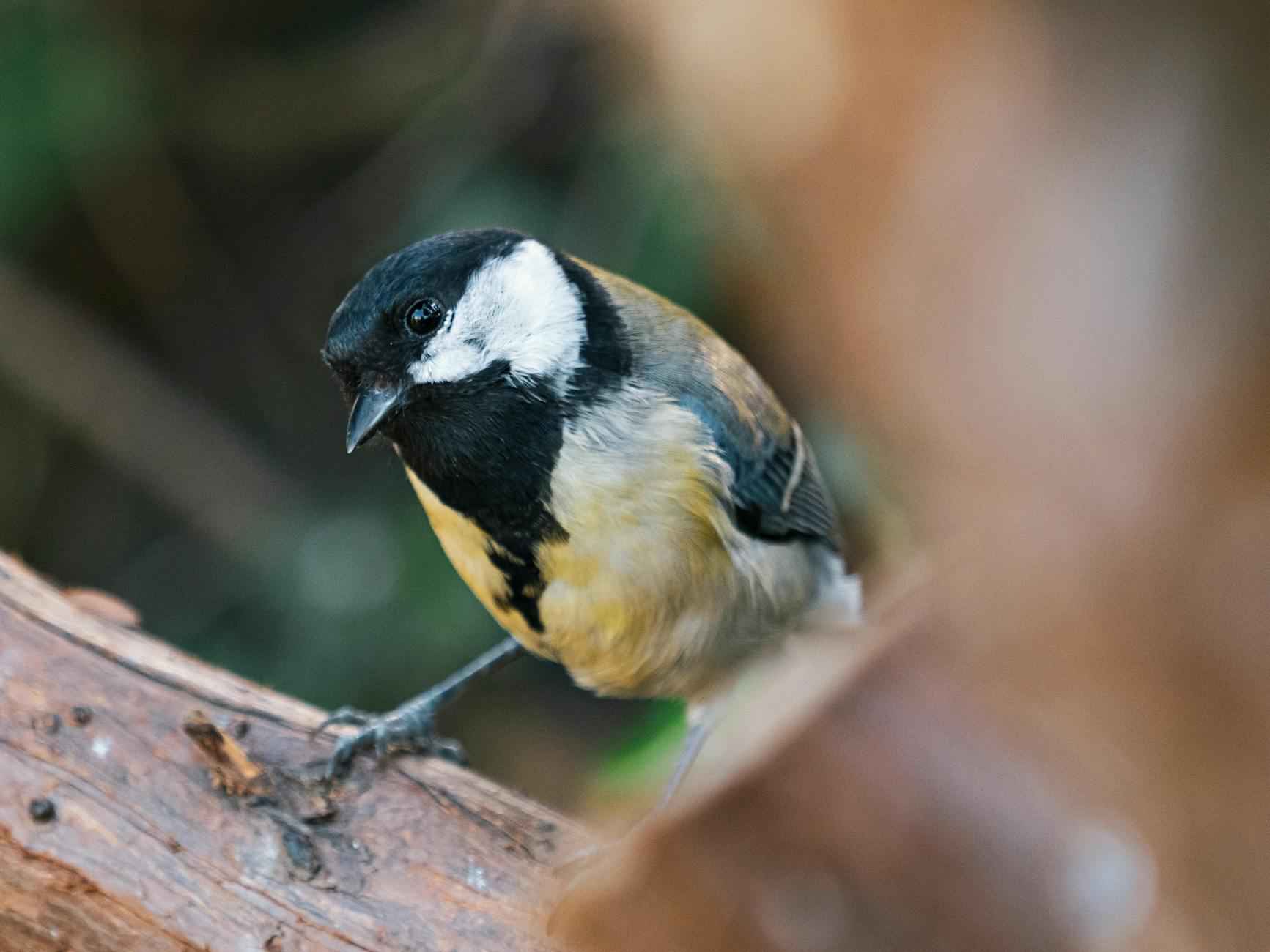 Tipps zur Buchung Ihrer Unterkunft