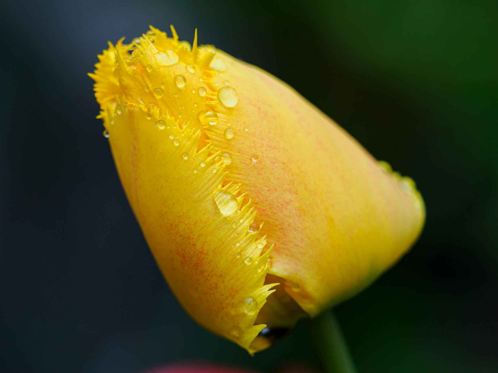 Die besten Aktivitäten in der Nähe Ihrer Unterkunft