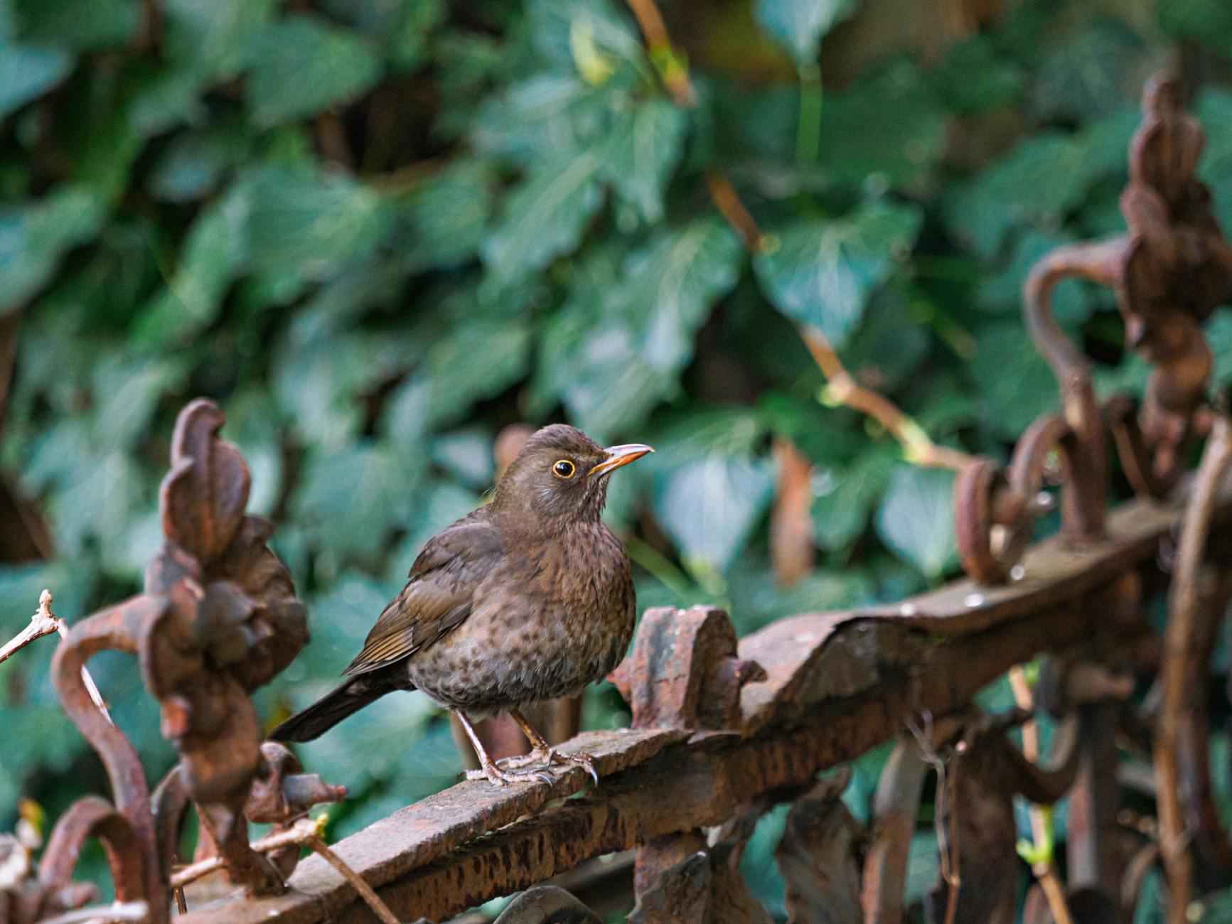 Fazit: Ihr perfekter Aufenthalt in Berlin