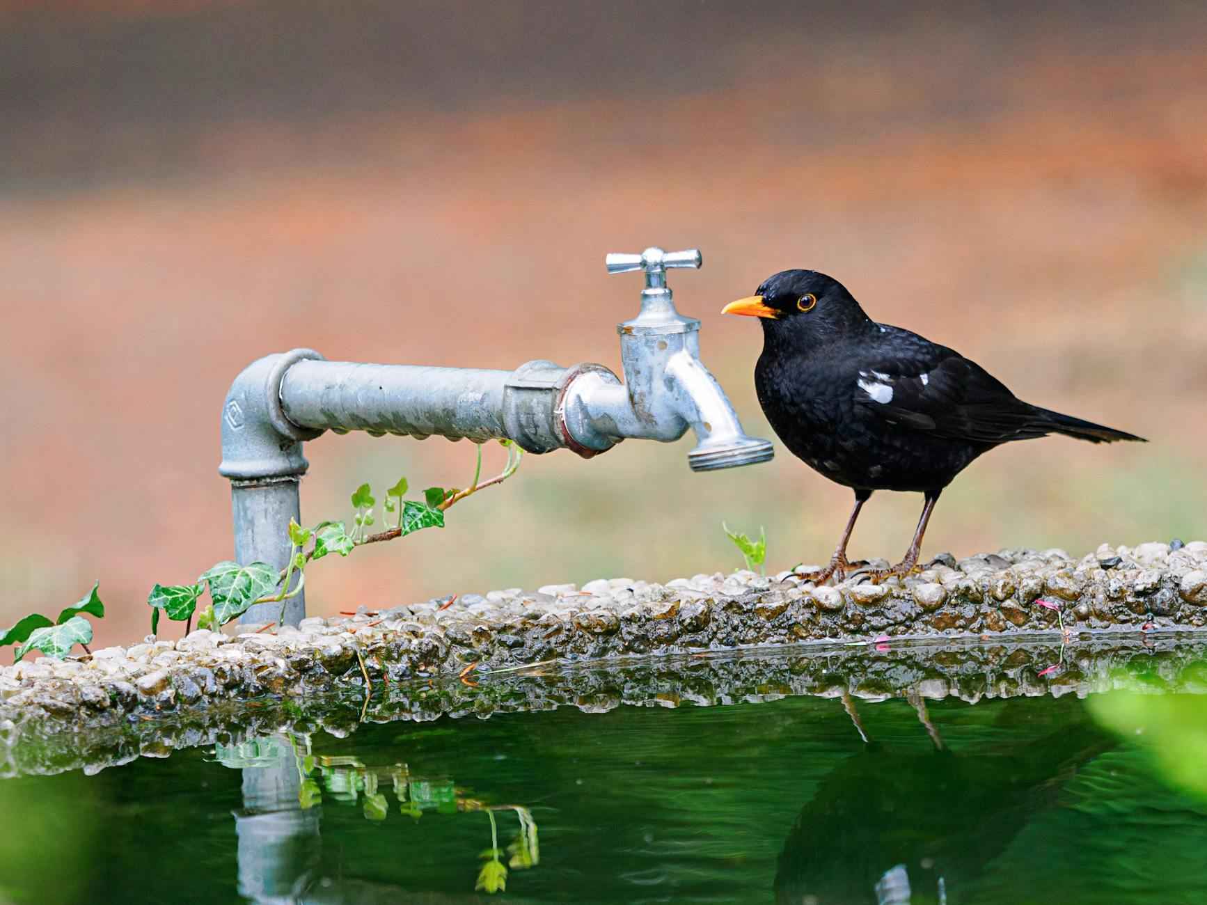 Warum Airbnb in Berlin wählen?