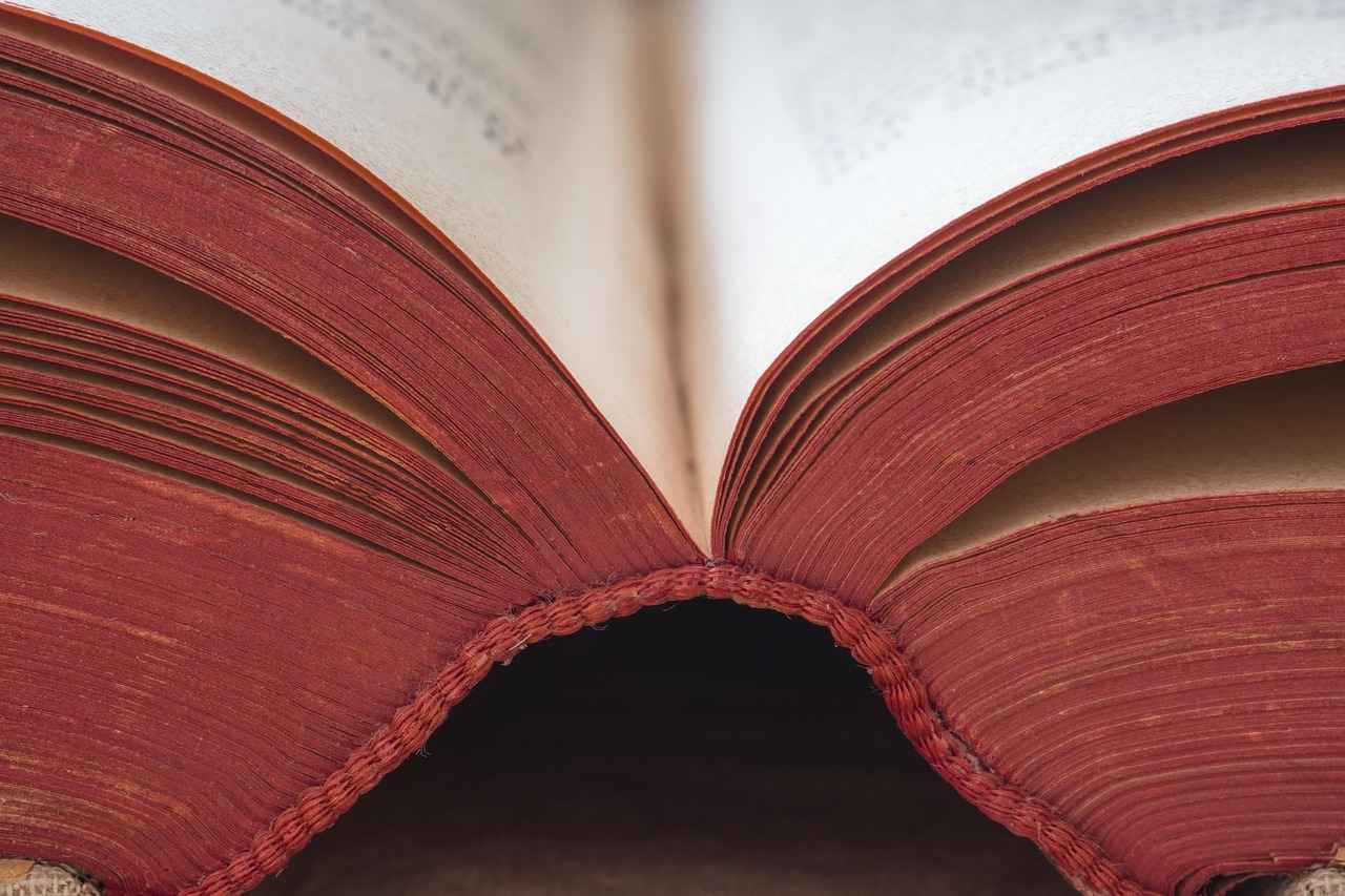 Aishah Sofey OnlyFans Profil – Gibt es geleakte Fotos oder Videos? 4 Welche Art von Inhalten postet Aishah Sofey auf OnlyFans?