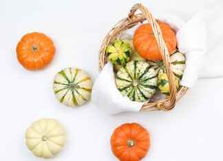 All You Can Eat Berlin – Die Besten Buffets Der Hauptstadt Entdecken All You Can Eat Berlin – Die Besten Buffets Der Hauptstadt Entdecken