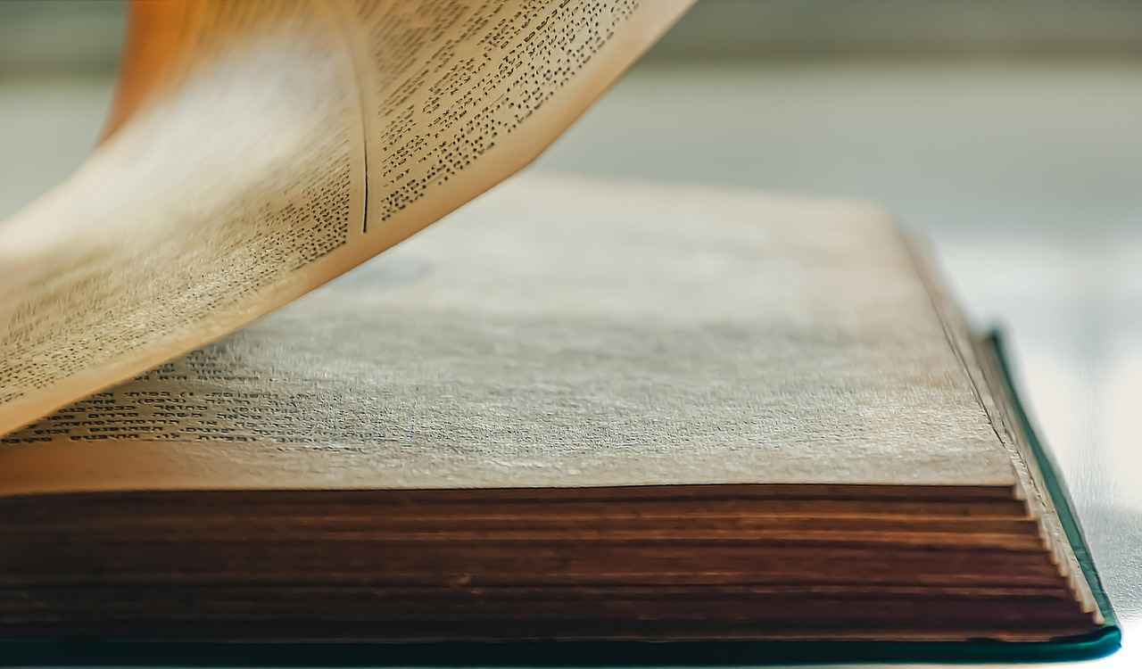 Wie schützt Amouranth ihre Inhalte auf OnlyFans?