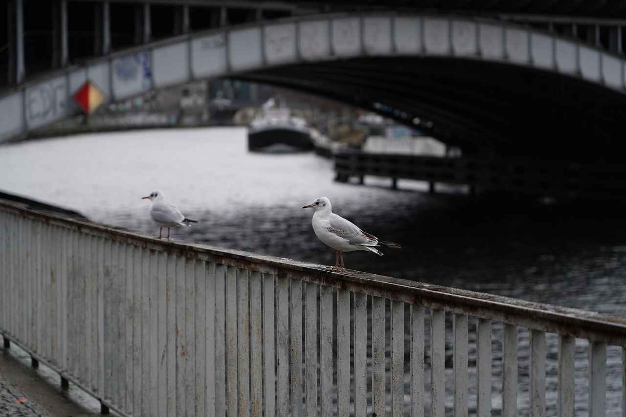 [Fazit und Empfehlungen]