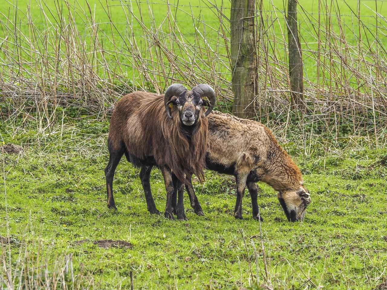 Wie interagiert Ari Kytsya mit ihren Fans?