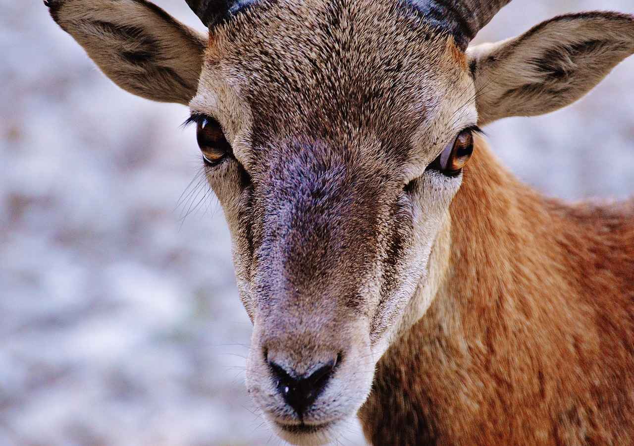 Was sind die beliebtesten Arten von Inhalten auf Ari Kytsyas Profil?