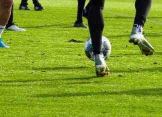 Aufstellungen: Teilnehmer: Union Berlin Gegen Eintracht Frankfurt – So Treten Die Teams An Aufstellungen: Teilnehmer: Union Berlin Gegen Eintracht Frankfurt – So Treten Die Teams An