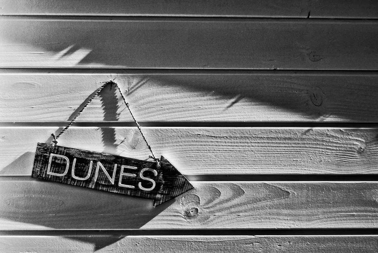 Belle Delphineed OnlyFans Profil – Gibt es geleakte Fotos oder Videos? 13 Wie hat Belle Delphine ihre Karriere auf OnlyFans gestartet?