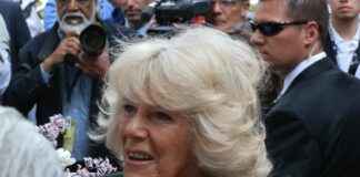 Camilla Araujo OnlyFans Profil – Gibt es geleakte Fotos oder Videos? Camilla Araujo OnlyFans Profil – Gibt es geleakte Fotos oder Videos?