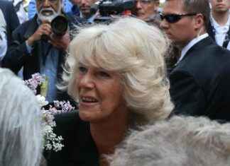 Camilla Araujo OnlyFans Profil – Gibt es geleakte Fotos oder Videos? Camilla Araujo OnlyFans Profil – Gibt es geleakte Fotos oder Videos?