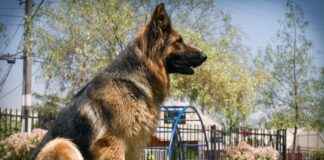 Caspar David Friedrich Ausstellung Berlin – Ein Muss Für Kunstliebhaber Caspar David Friedrich Ausstellung Berlin – Ein Muss Für Kunstliebhaber