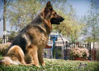 Caspar David Friedrich Ausstellung Berlin – Ein Muss Für Kunstliebhaber Caspar David Friedrich Ausstellung Berlin – Ein Muss Für Kunstliebhaber