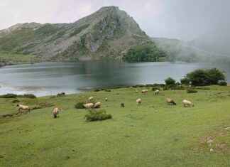 Drea De Matteo OnlyFans Profil – Gibt es geleakte Fotos oder Videos? Drea De Matteo OnlyFans Profil – Gibt es geleakte Fotos oder Videos?