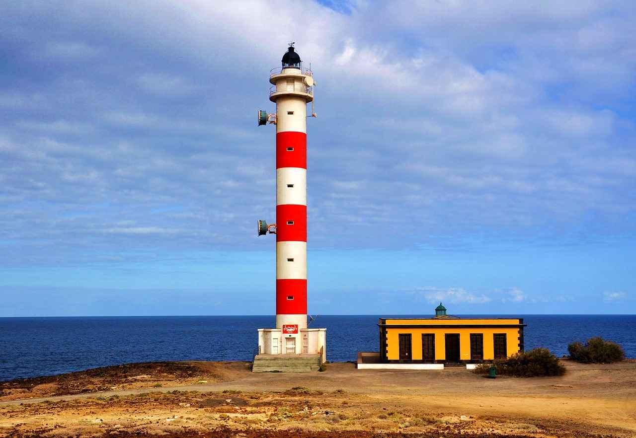 Wie schützt Drea De Matteo ihre Inhalte auf OnlyFans?