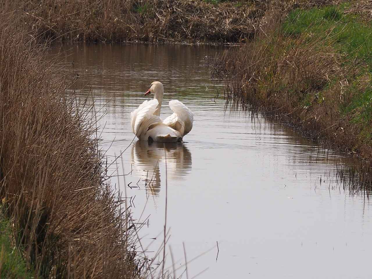 Wie sieht die Zukunft von Grace Charis auf OnlyFans aus?