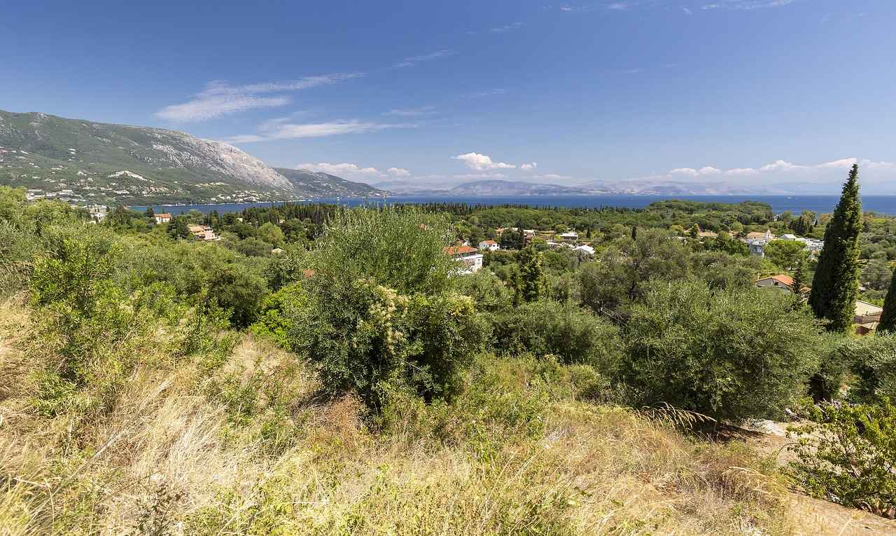 Wie verdient Grace Charis Geld auf OnlyFans?