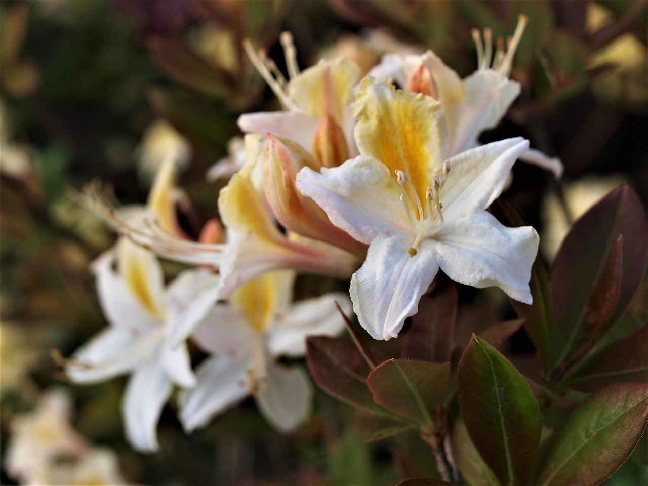 Iggy Azalea OnlyFans Profil – Gibt es geleakte Fotos oder Videos? 11 Wie wichtig ist die Privatsphäre für Iggy Azalea auf OnlyFans?