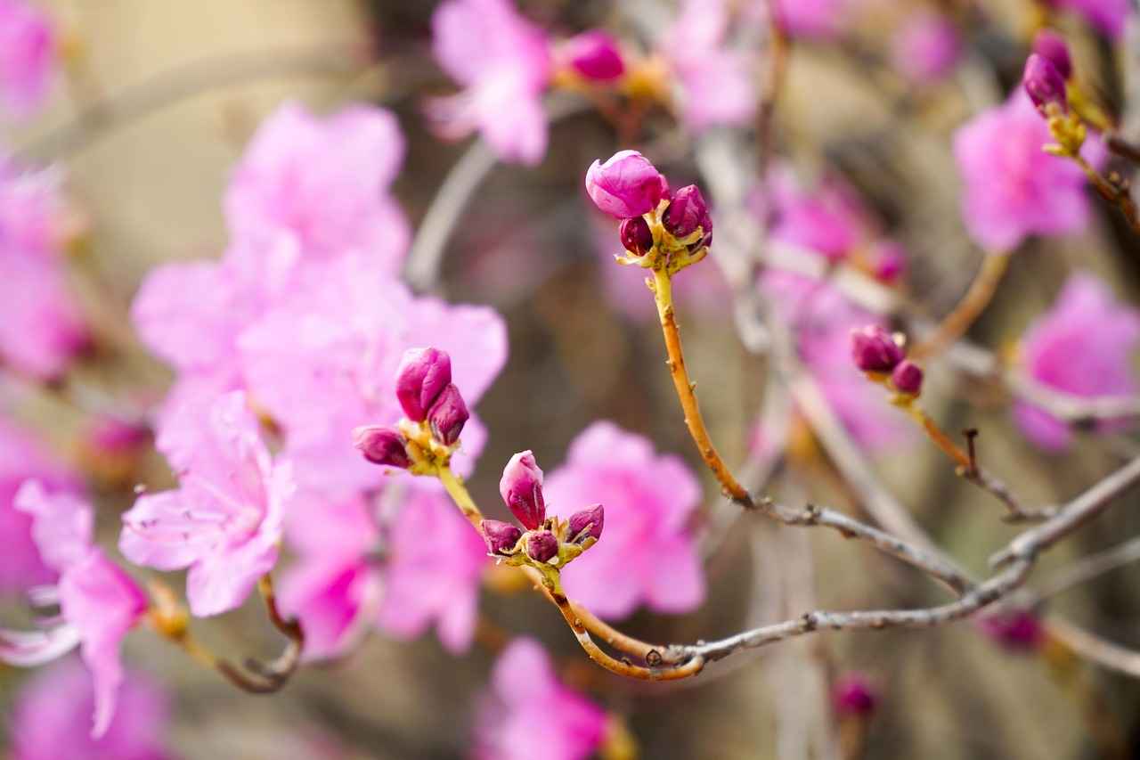 Iggy Azalea OnlyFans Profil – Gibt es geleakte Fotos oder Videos? 2 Wie verdient Iggy Azalea Geld auf OnlyFans?