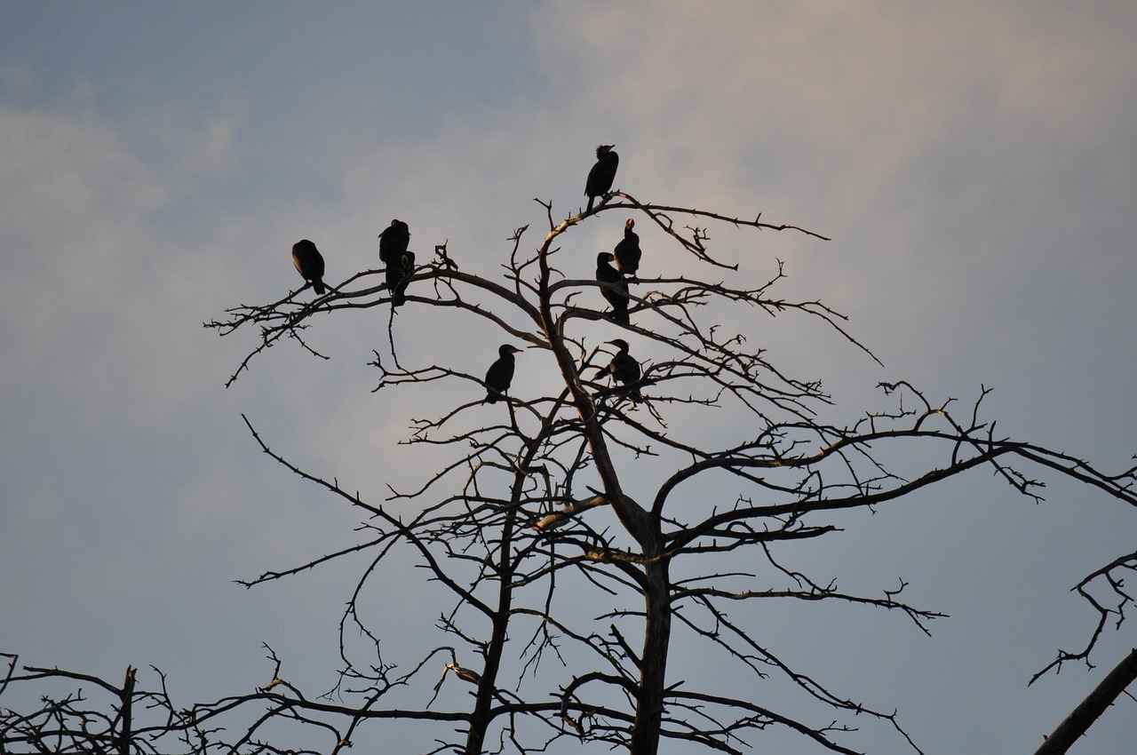 Wer ist Katie Sigmond?