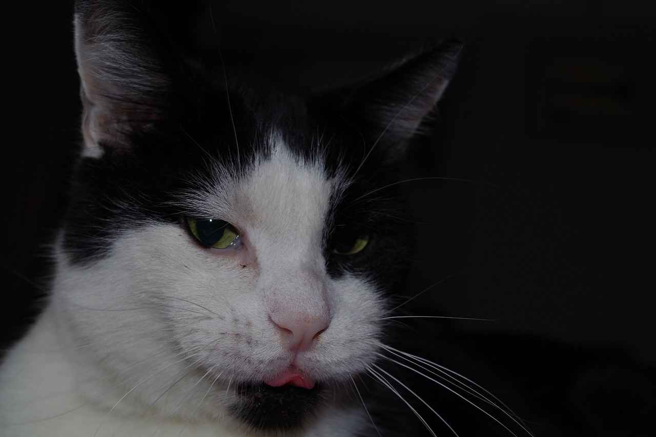 Wie geht Kirstentoosweet mit geleakten Inhalten um?