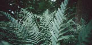 Kombibad Spandau Süd Halle Berliner Bäder – Schwimmen Für Die Ganze Familie Kombibad Spandau Süd Halle Berliner Bäder – Schwimmen Für Die Ganze Familie