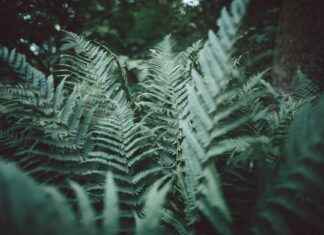 Kombibad Spandau Süd Halle Berliner Bäder – Schwimmen Für Die Ganze Familie Kombibad Spandau Süd Halle Berliner Bäder – Schwimmen Für Die Ganze Familie