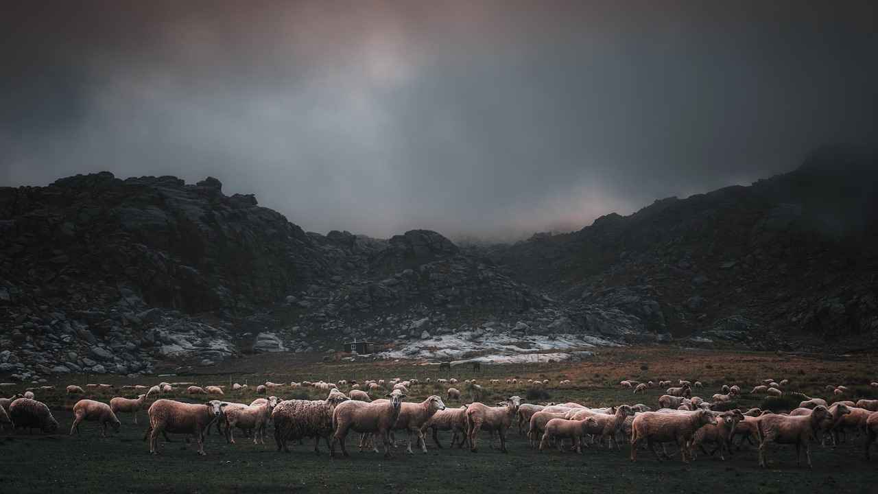 Was sind die häufigsten Missverständnisse über OnlyFans?