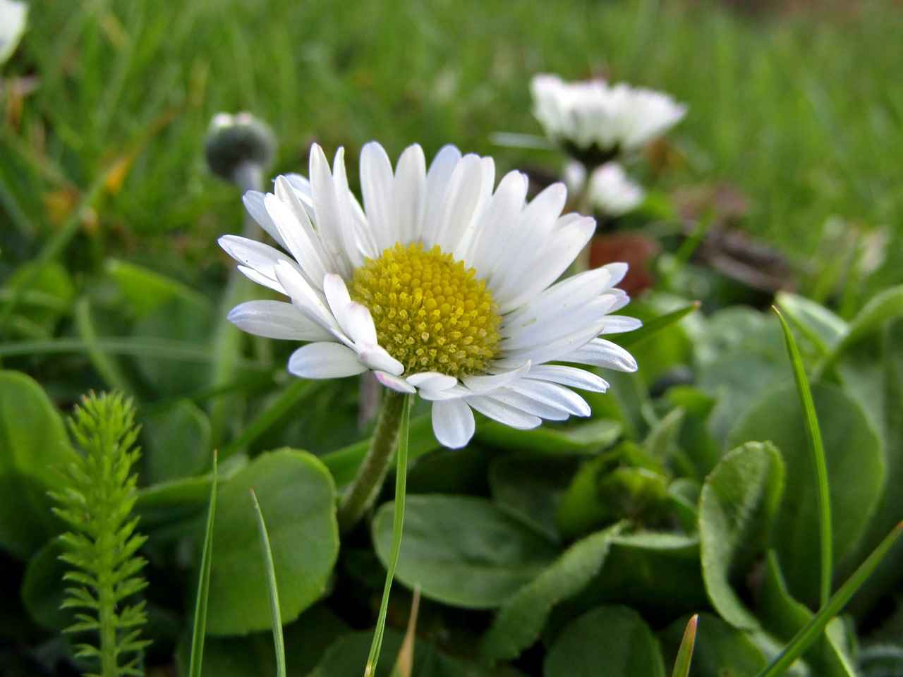 Gibt es geleakte Inhalte von Marie Temara?