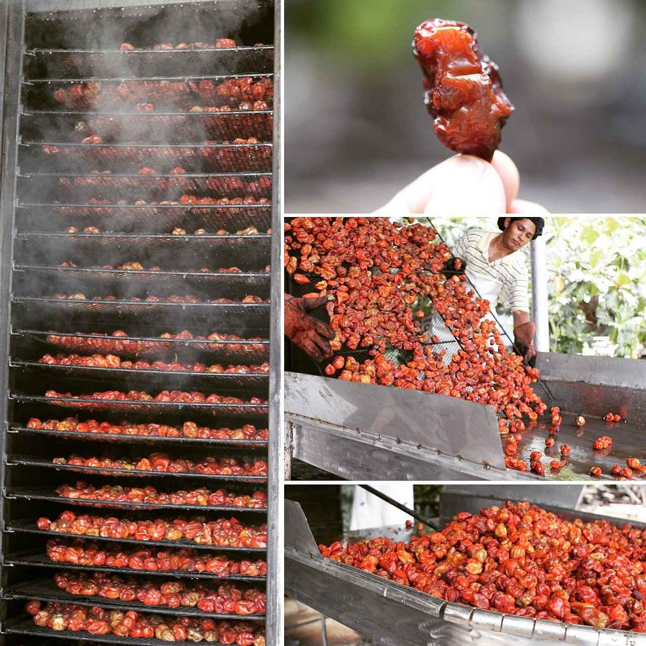 Wie schützt Marie Temara ihre Inhalte auf OnlyFans?